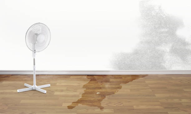 Best Water damage restoration process  in Kettering, OH