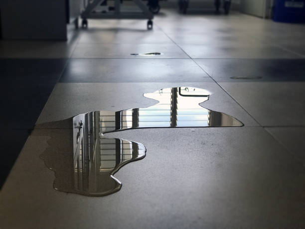 Best Water damage restoration company  in Kettering, OH